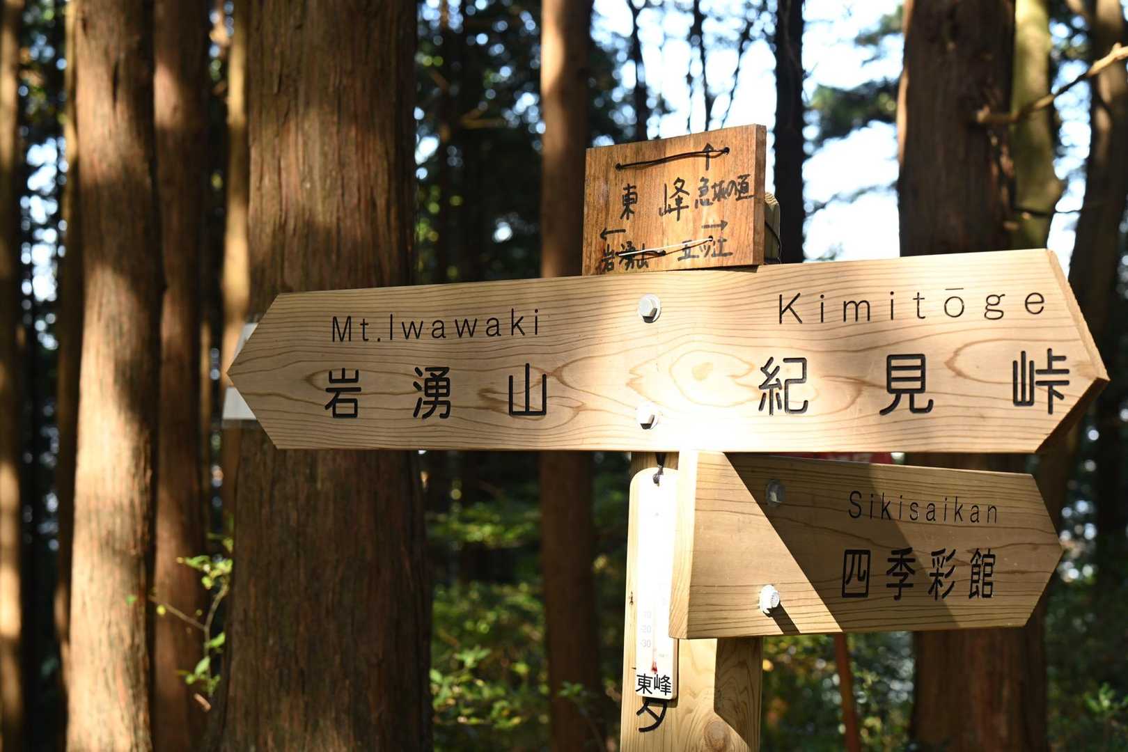 『きゅうざかの道』を登り『東峰』到着☆