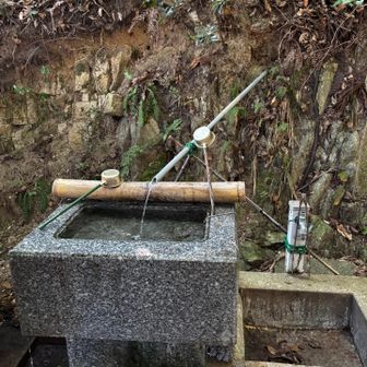 冷たいお水が気持ち良かった〜💧