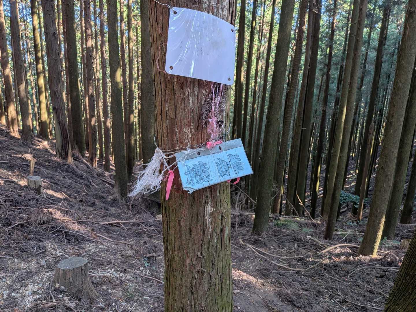 横峠。今日はここで折り返します。