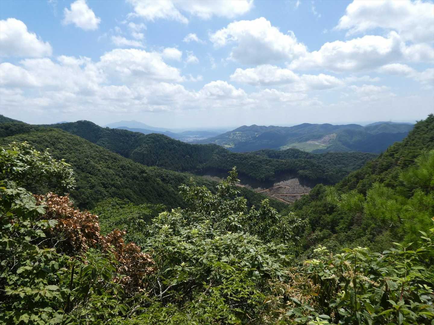 南方面