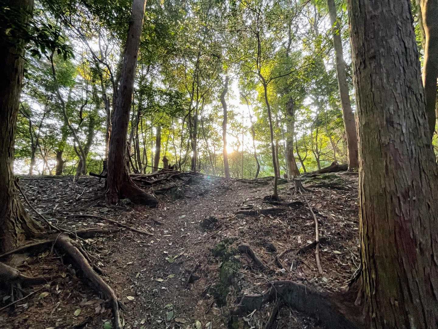 もうすぐ尾根🌅