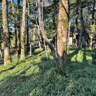 中に人が居ましたので写真は無し

白髪避難小屋と同じ感じでした

あと小屋の前にテントを2張りか小さいので頑張れば4❓張れるスペースもあります