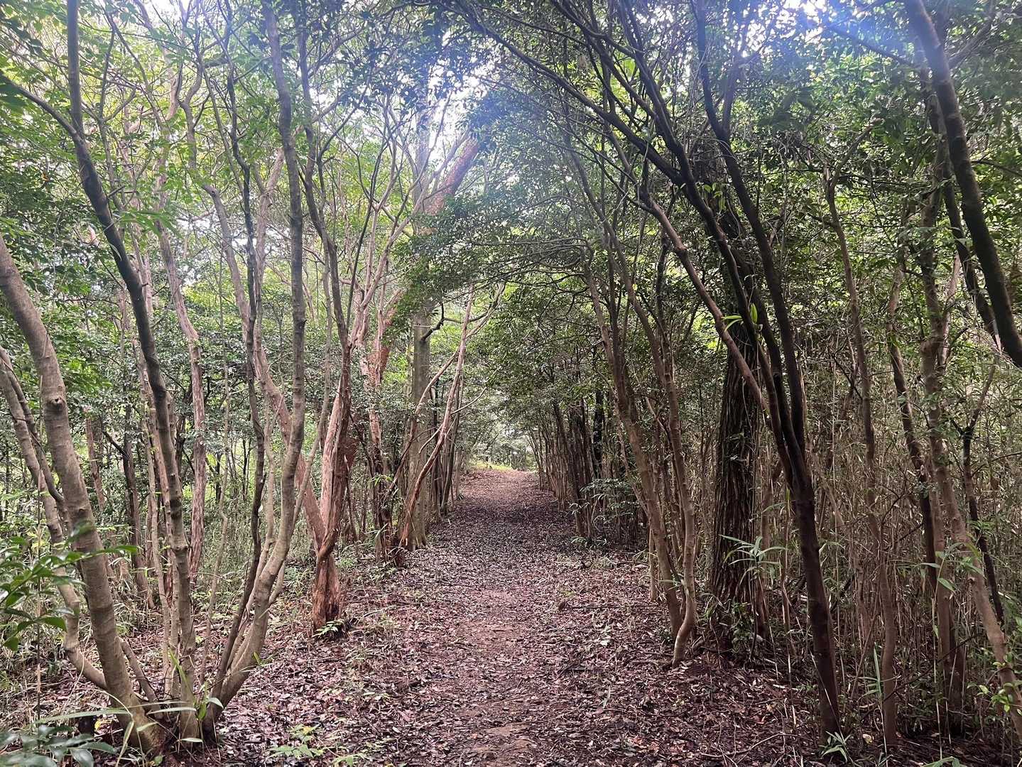 北山コースから♪
