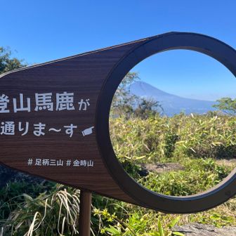 丸鉢山
登山馬鹿が通りま〜す👉