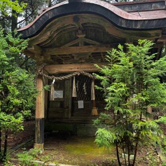 金毘羅神社⛩️🙏