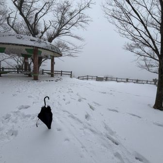 眺望は皆無😑
積雪は傘が立つくらい🌂