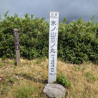 三ノ丸コースで下山