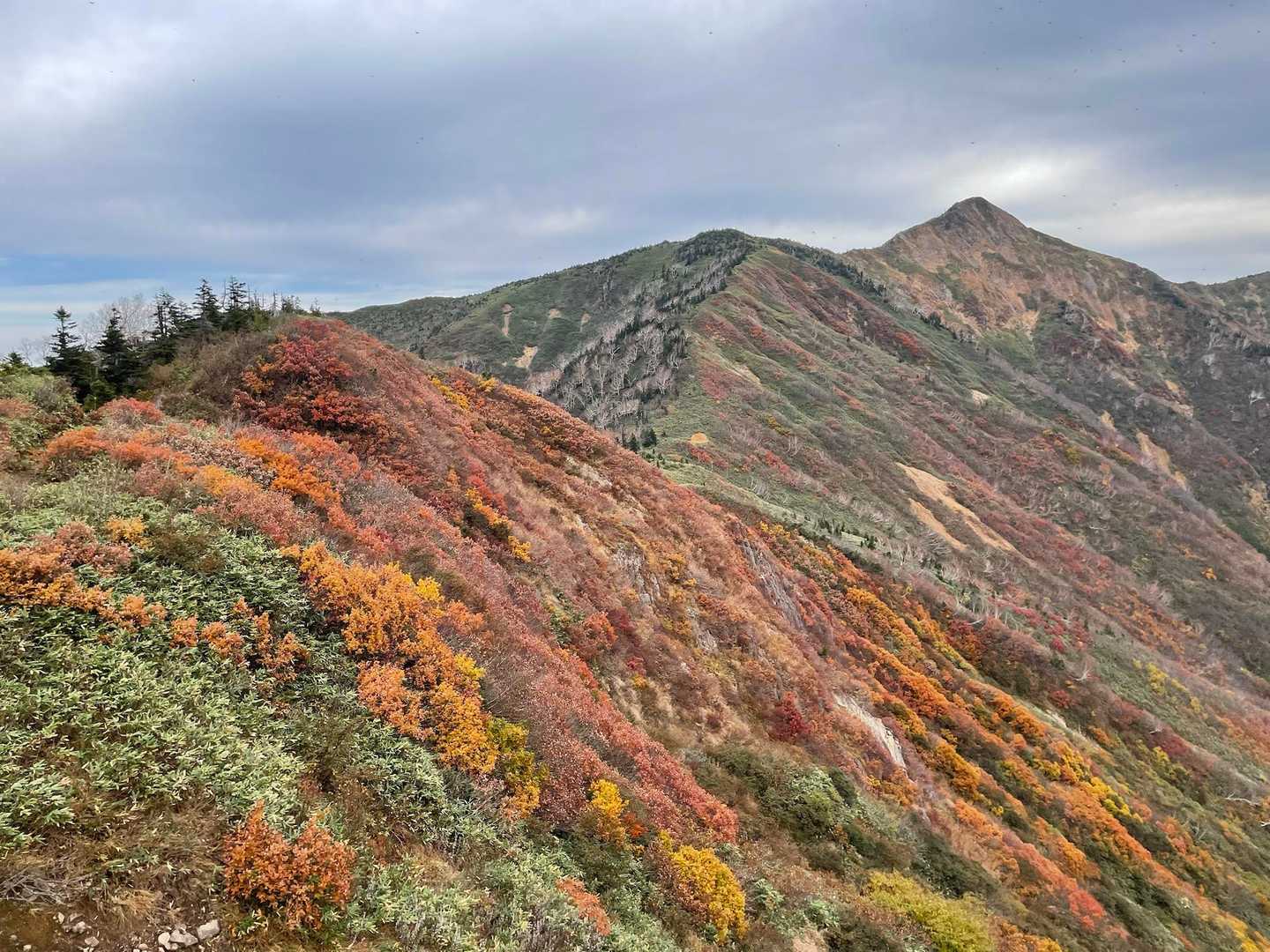 裏越後三山（荒沢岳-中ノ岳-越後駒ヶ岳）周回コースの写真
