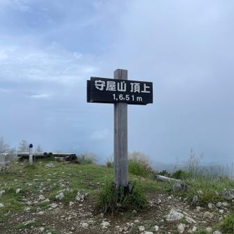 ガスガスでしたが、じきに晴れてきました