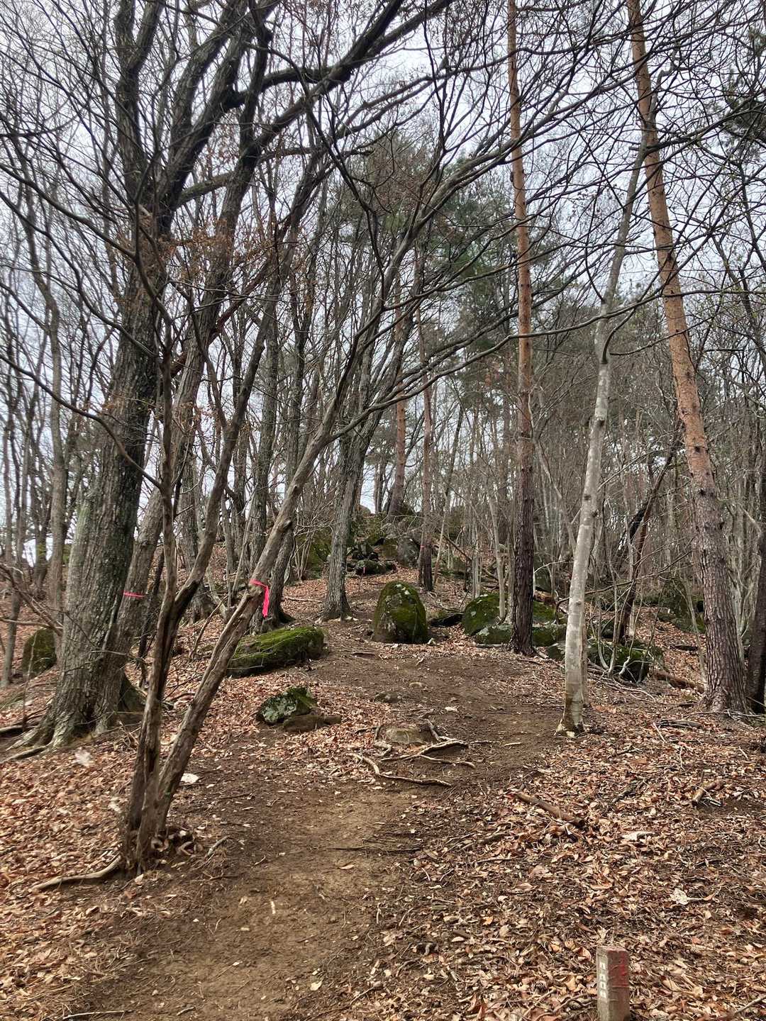 兜山周回 | クライマー集う岩壁の先、木々の隙間から覗く富士の特別感の写真
