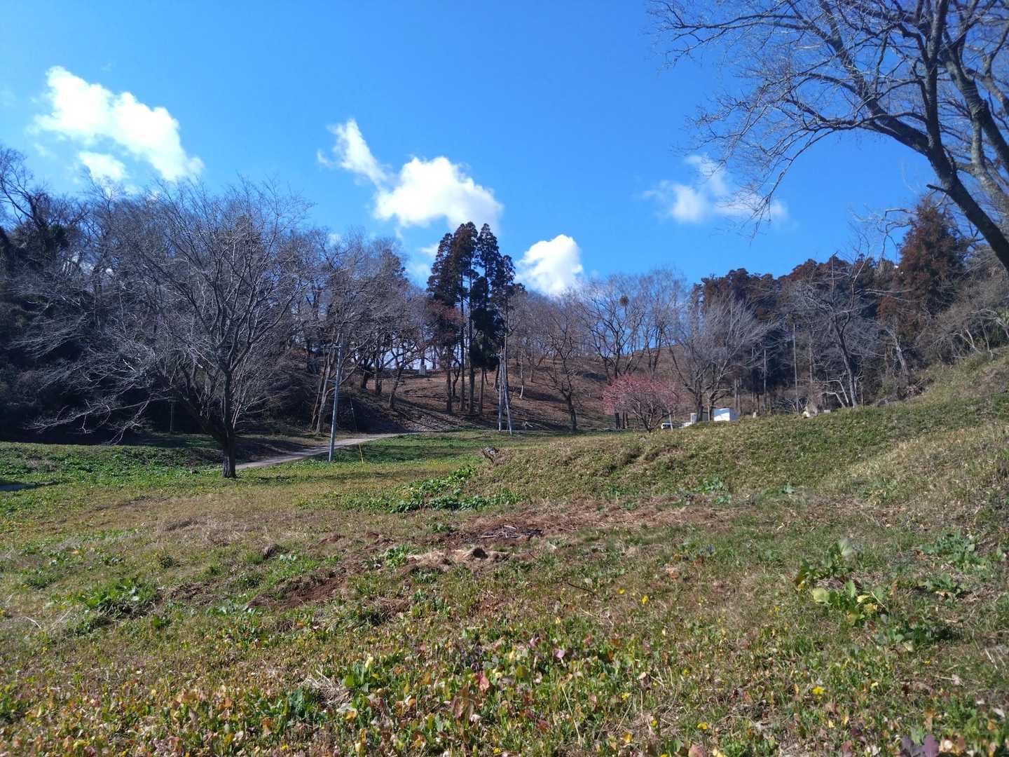 おじゅうはっちゃ🧡
良い山です☺️