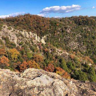向こうの岩下山道。
歩いて見たいやら、怖そうやら。