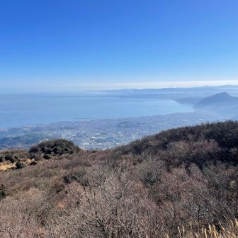 山頂から別府市方面…👀

遠くに見える右端の山は、かの有名なお猿の聖地「高崎山⛰️」でおさる…🐒