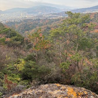 眺望ポイント⭐