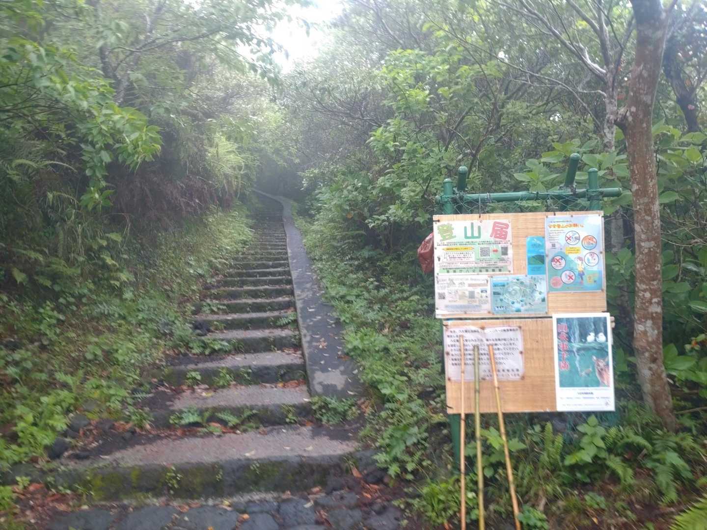 一緒に来た仲間に登山口まで送ってもらい登山開始
序盤はひたすら階段登り