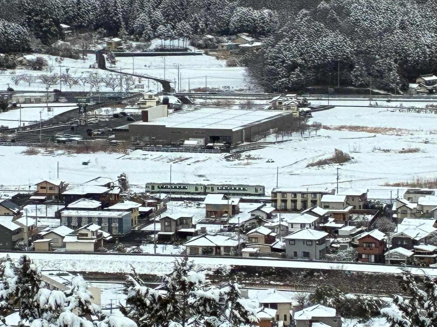 帰りも八高線下り列車🚃キハ110形を大観山から激写
