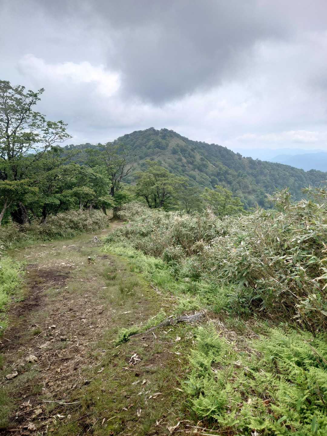ラスボス後山へ歩きやすい縦走路を移動