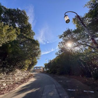 ハスラーない風景𓂃𓂂ꕤ*.ﾟ
折り返しまーす٩  ܸ.ˬ.۶