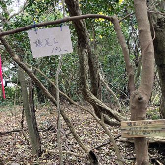 プレート発見。
蟻尾山の東側は佐賀平野と有明海が広がっているので、ちゃんと整備すればお手軽絶景な山になりそうですね。