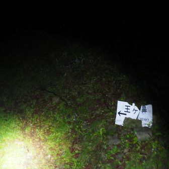 キャンプ場利用者は無しでした
シーズン中はチップ入れて
トイレが使えます