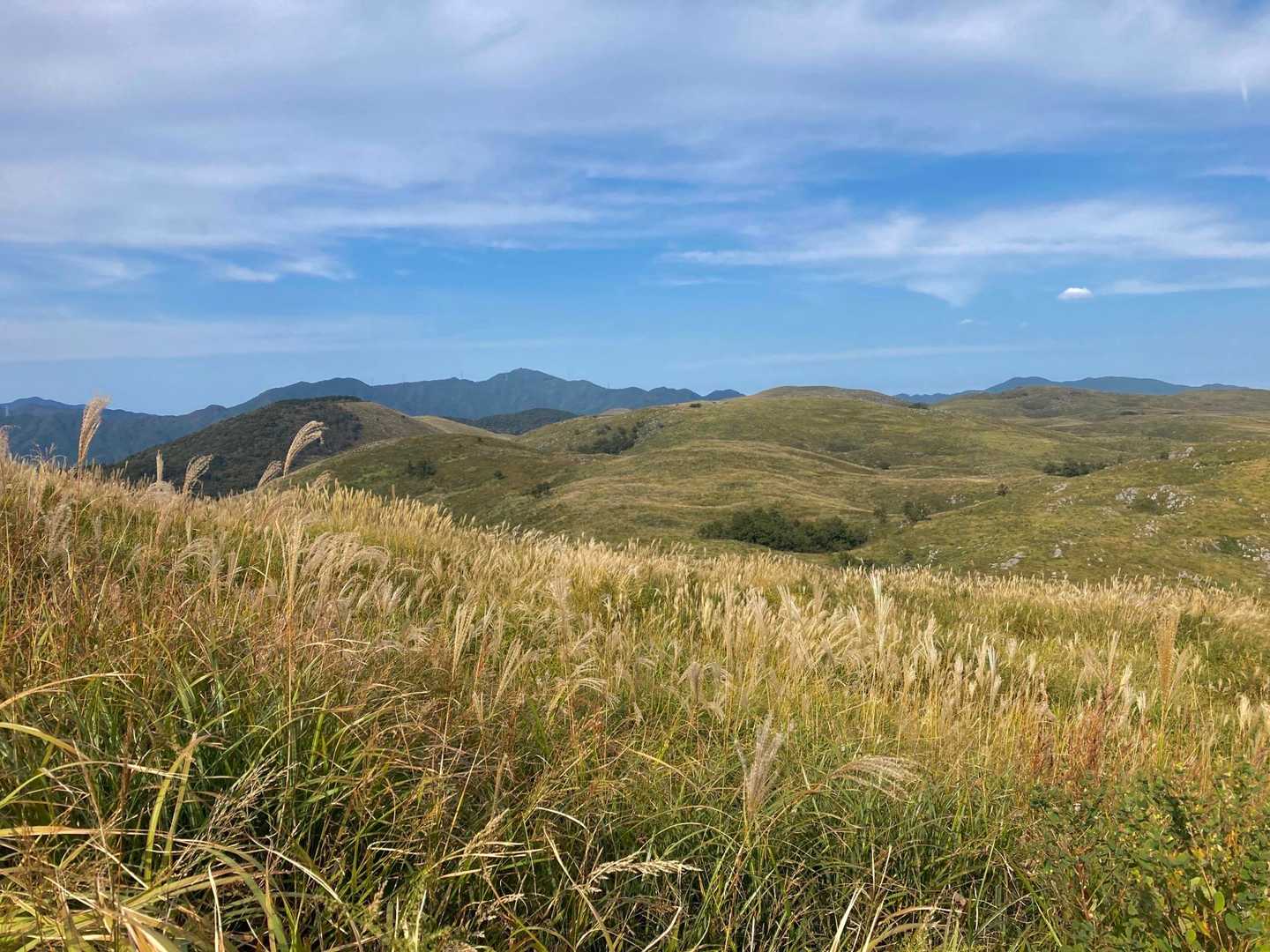 おはち山-西の西山 周回コースの写真