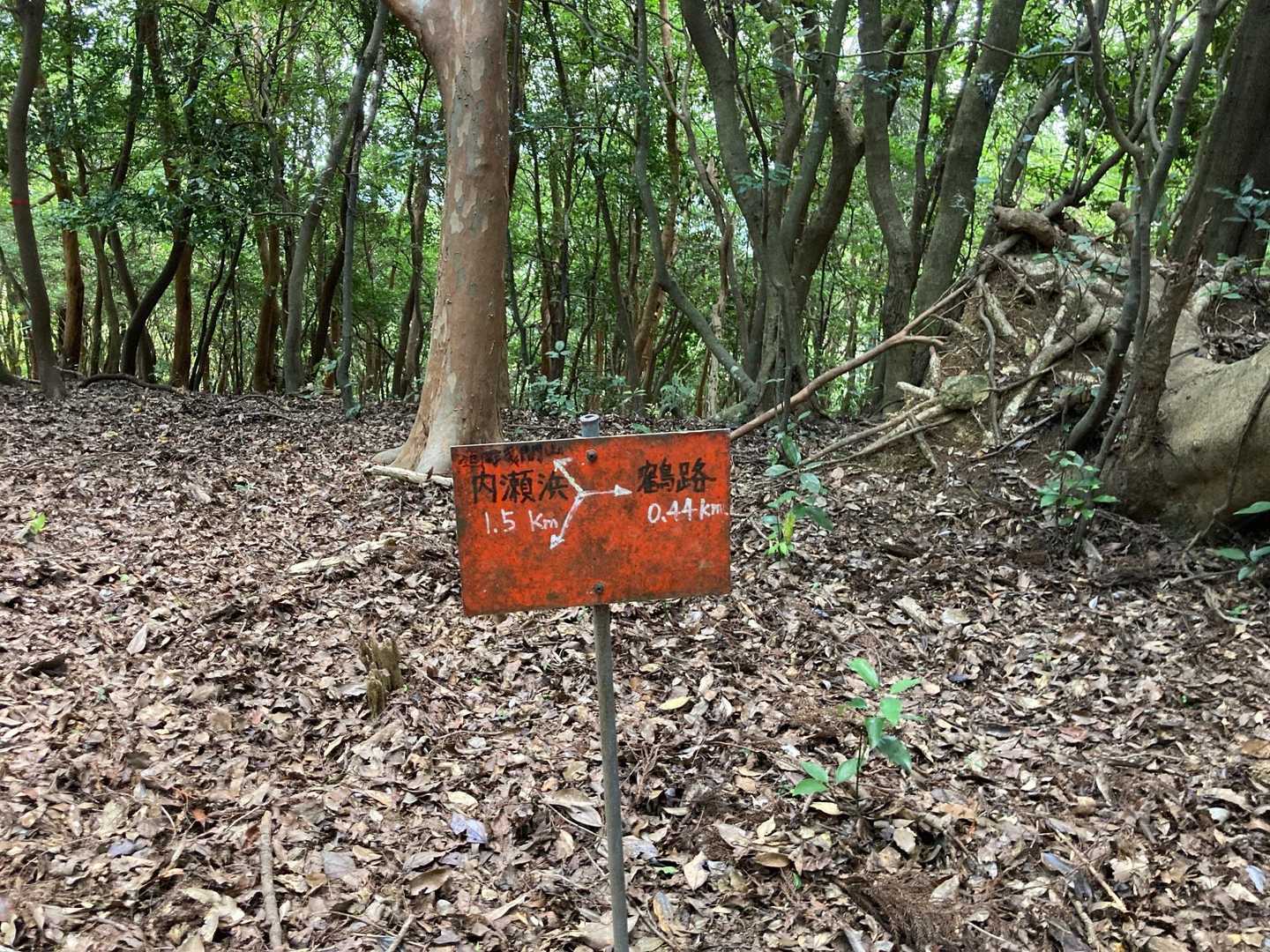 ここも分岐点。迫間浅間山へ向かう道との分岐