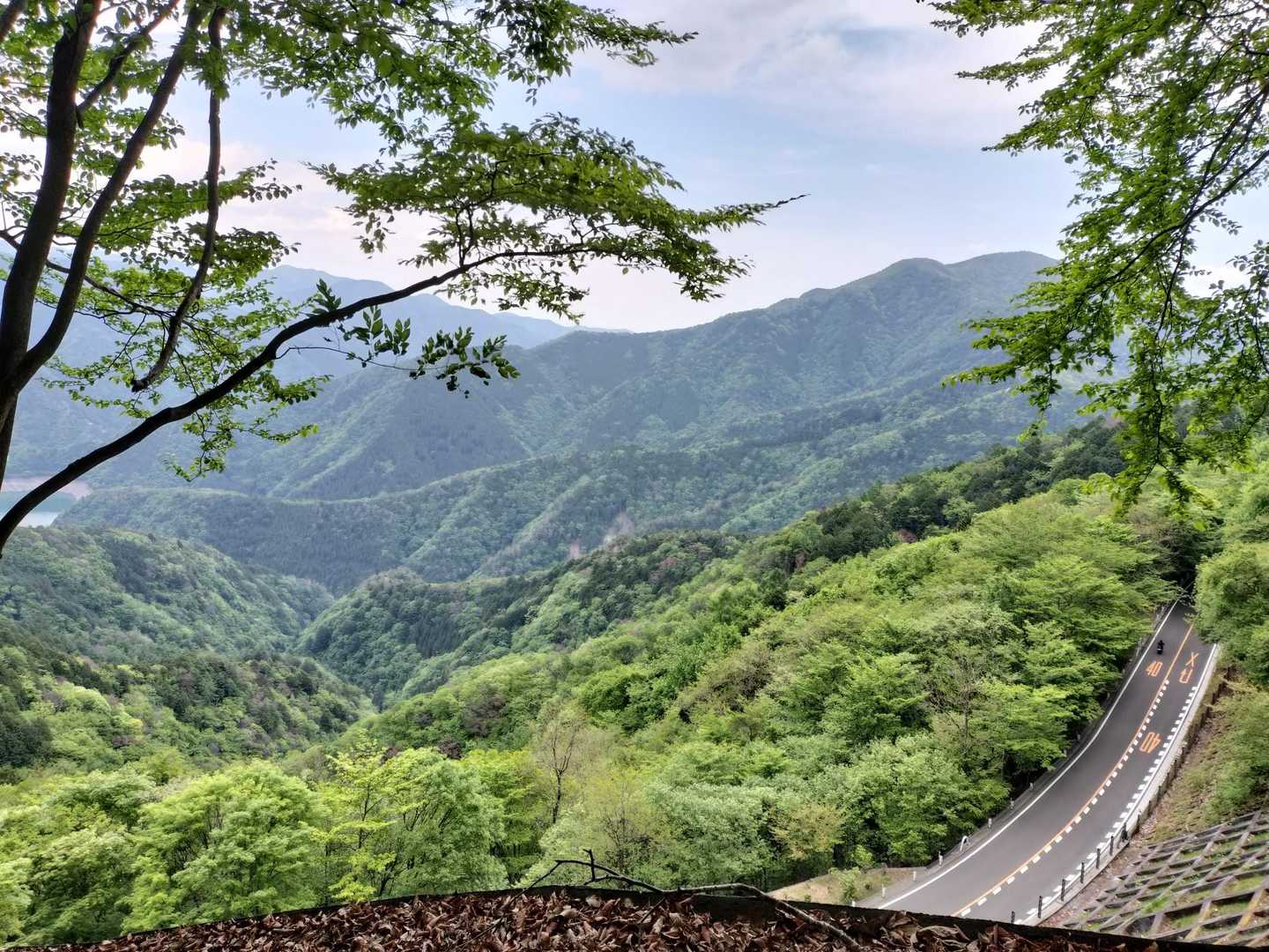 月夜見山・大ムゾ山・天神山・水窪山西峰・水窪山 / 海太郎山太郎の