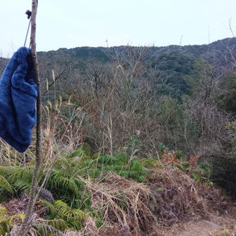 ネックウオーマーの落とし物