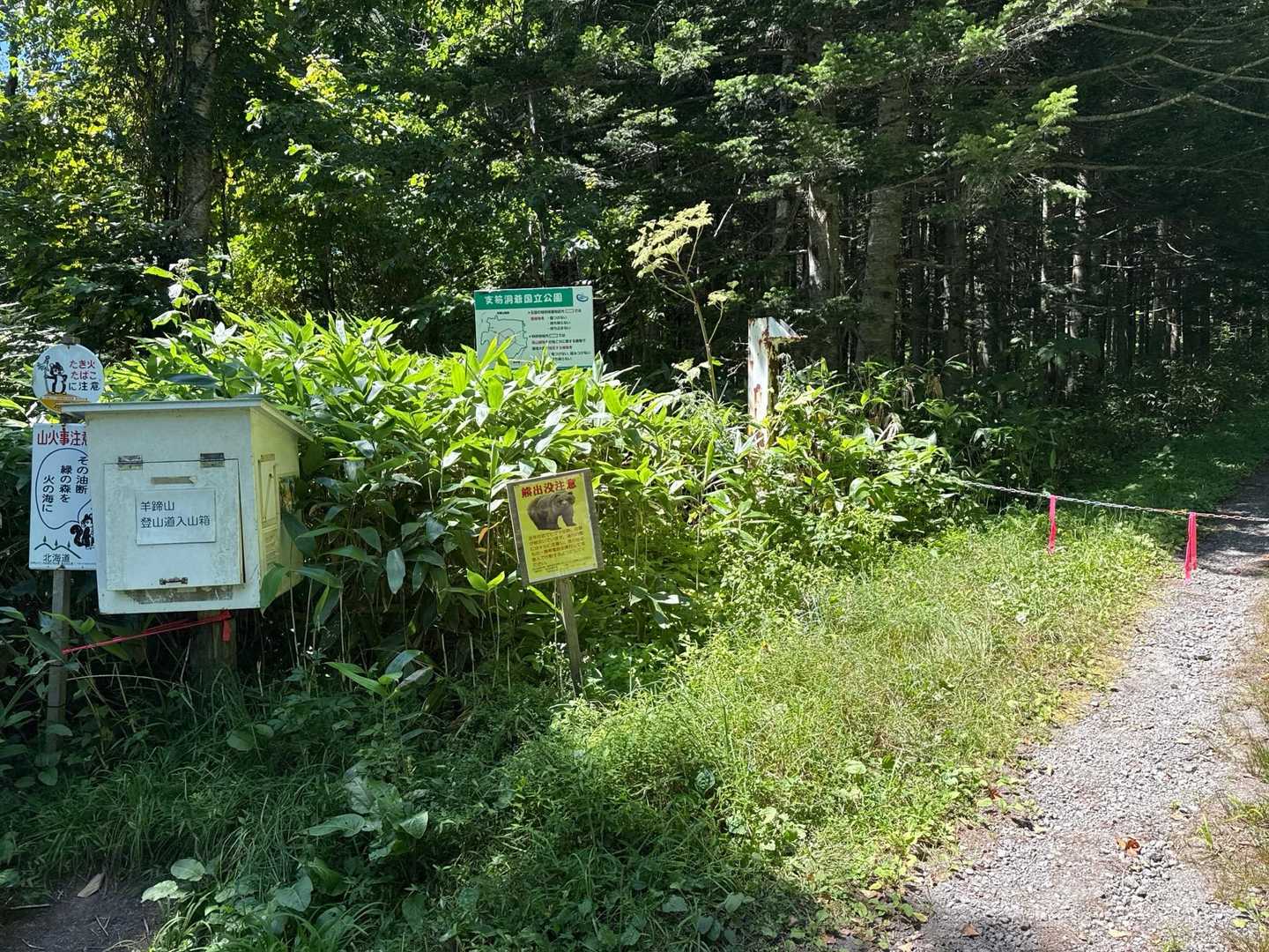 11:50無事下山