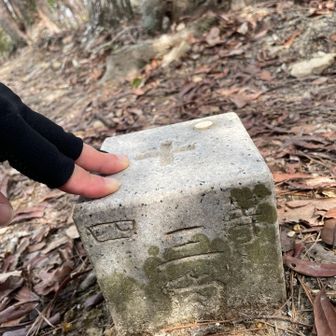 着きました٩(ˊᗜˋ*)و
三角点のみで、名板なし。


この先、藪漕ぎって書いてあるが考えた末行く事に
