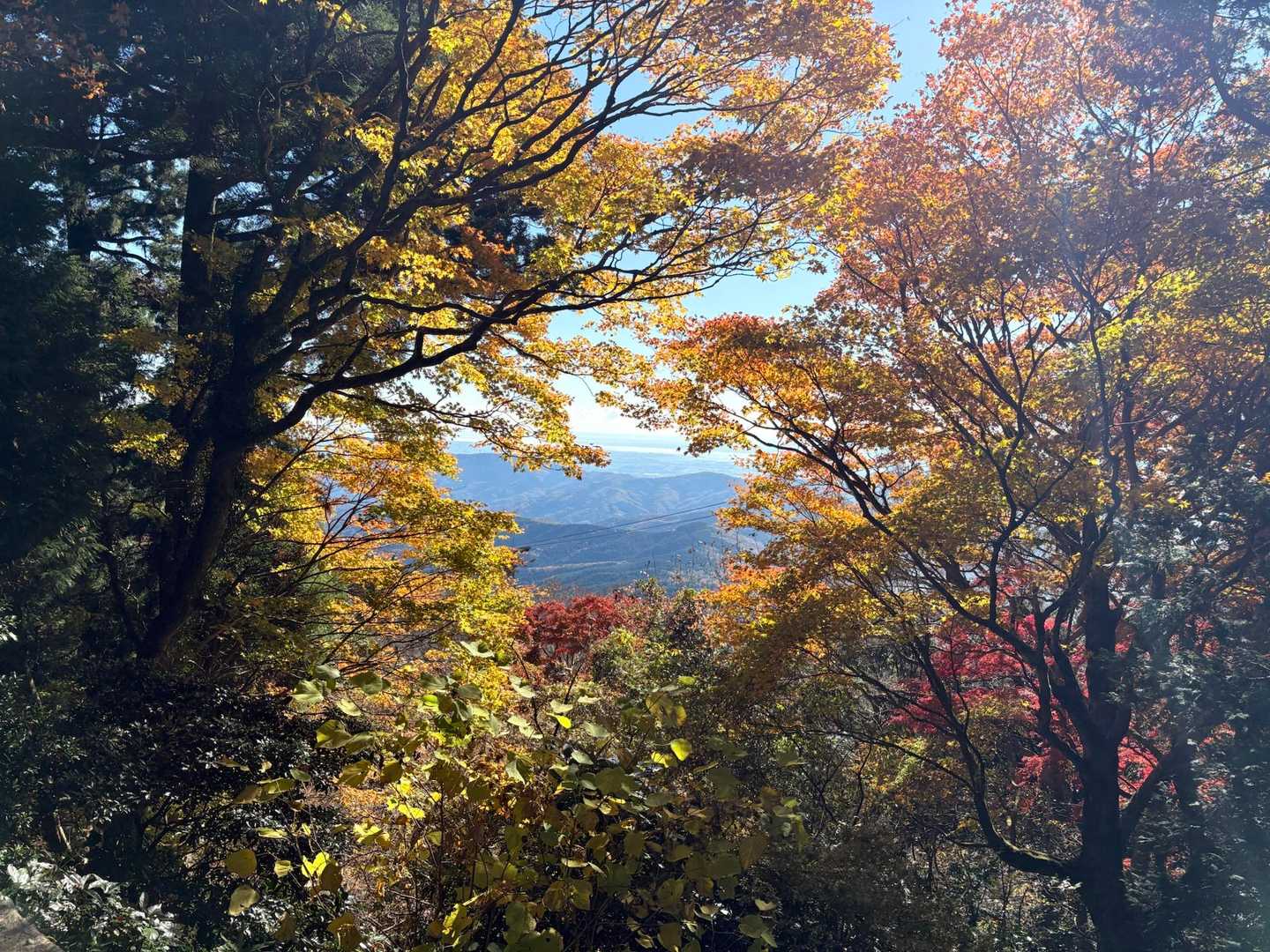 筑波山神社-筑波山-つつじヶ丘 縦走コースの写真