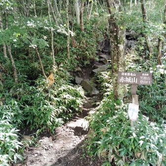 登山口から岩石ルートはじまる