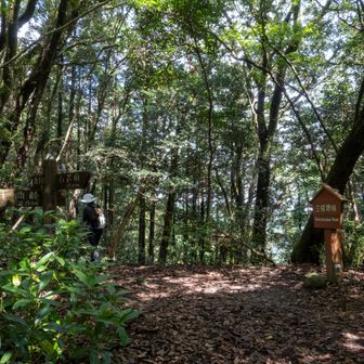 石谷山からの折り返し
繻子蘭からの誘惑を振り切りながら九千部山へ戻ります
