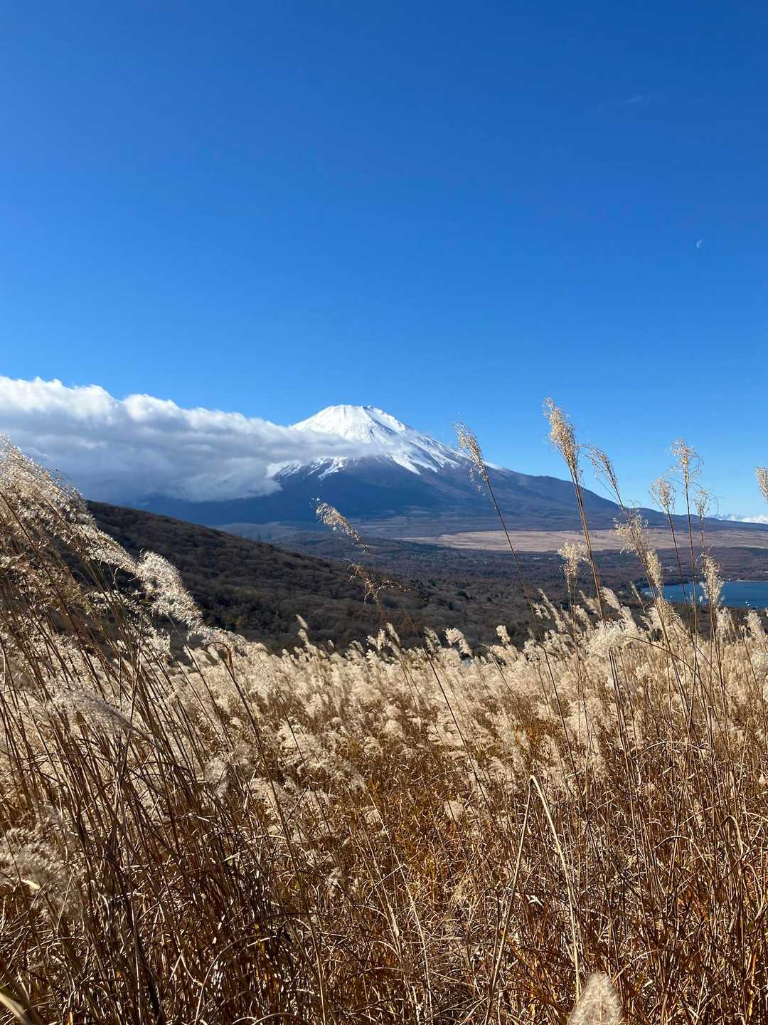 左側から雲が来ていますが、富士山綺麗😍