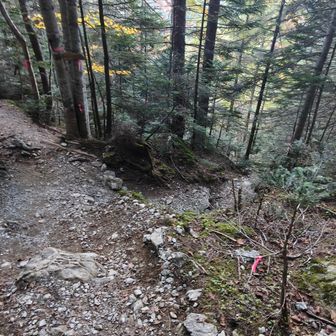 長衛小屋からの近道ルートの北沢峠との合流地点（下山は見落し注意）