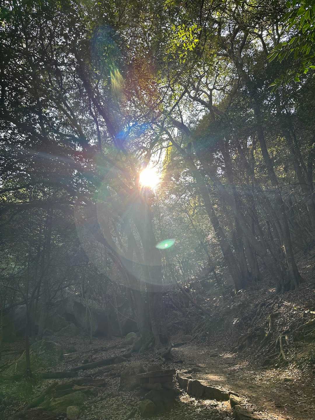 弥山登山道入口-弥山 往復コースの写真