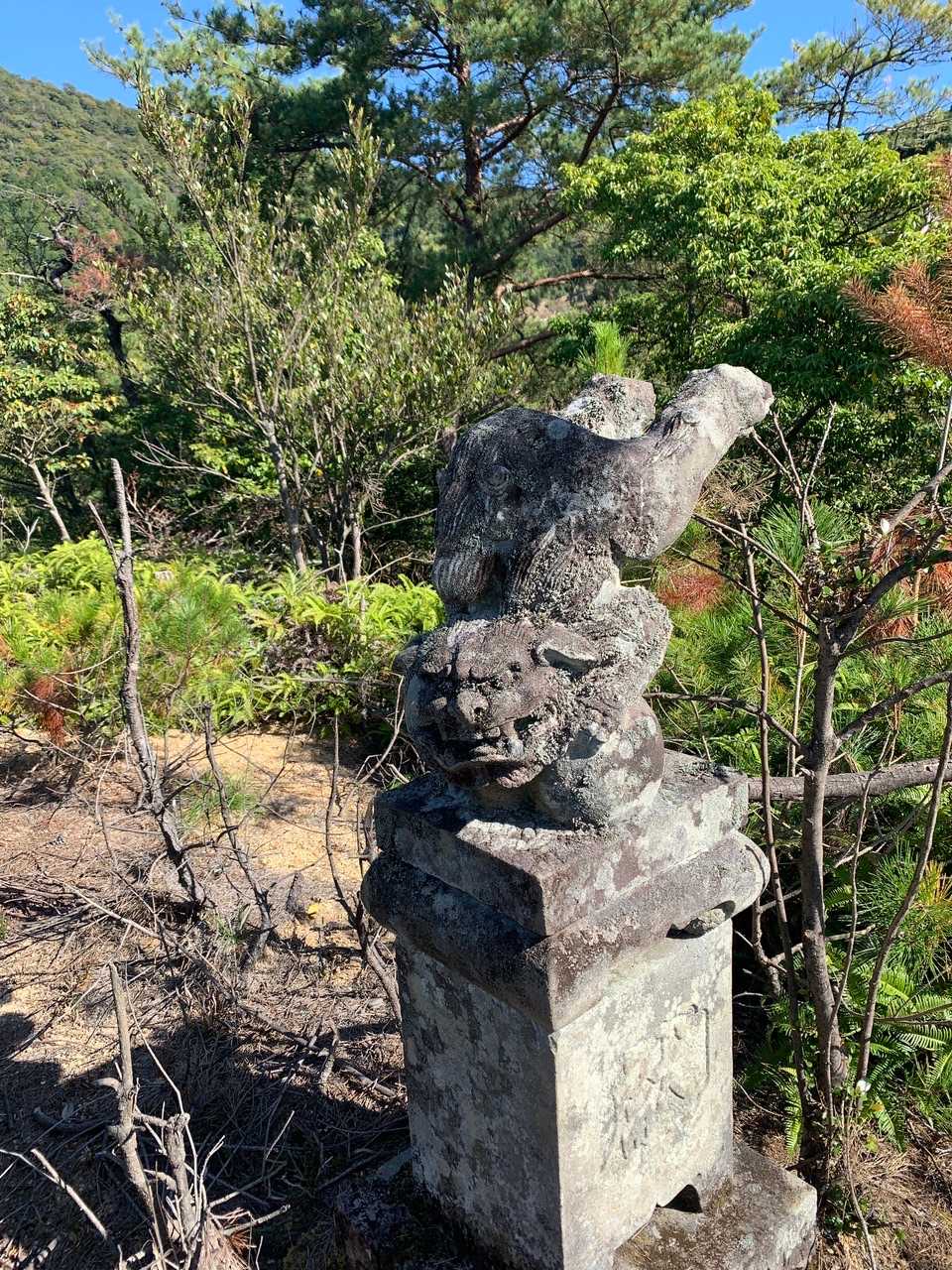 やってることは可愛いが顔が恐い😨