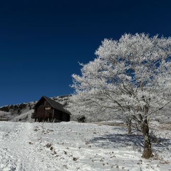 風もだいぶ収まり過ごしやすいコンディションになってました