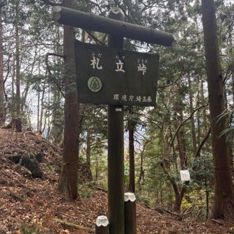 中間チェックポイント？