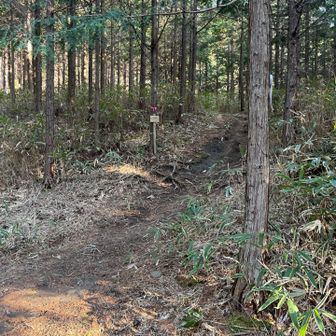 登山口前の駐車場🅿️2台分、一番乗り！