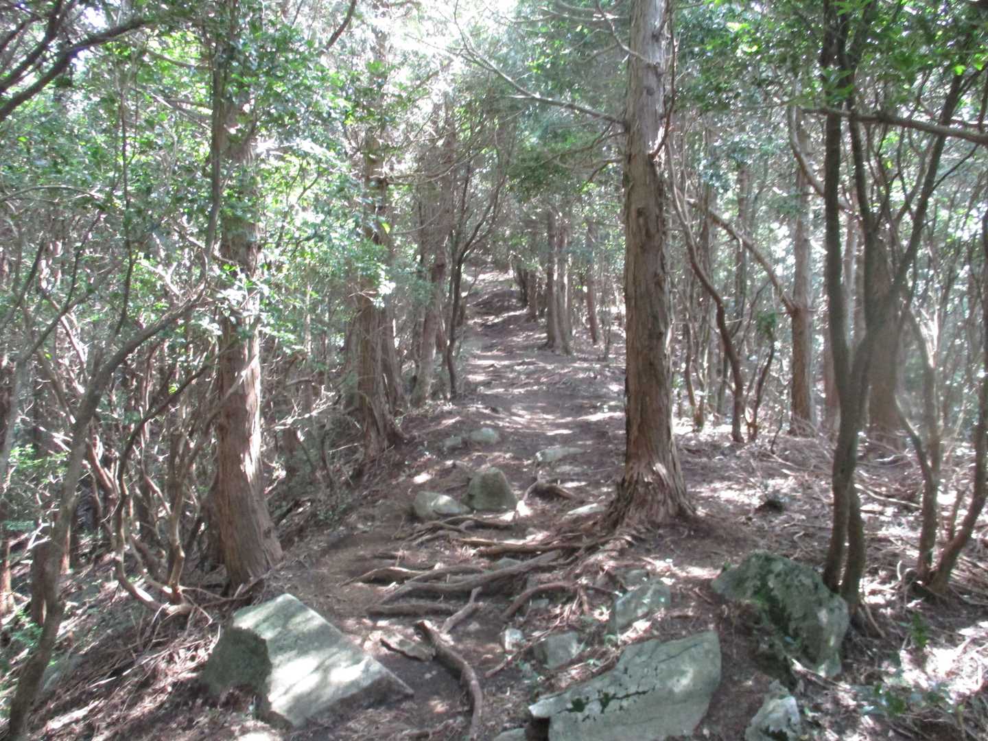 萌の里-俵山 往復コースの写真
