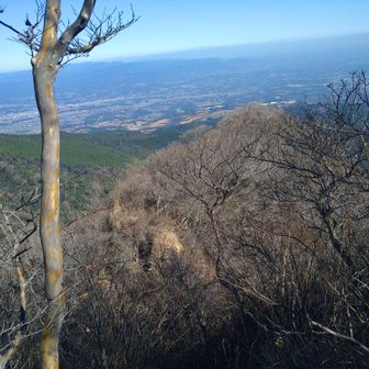 大幡前山の手前で小林市街を振り返る🤒