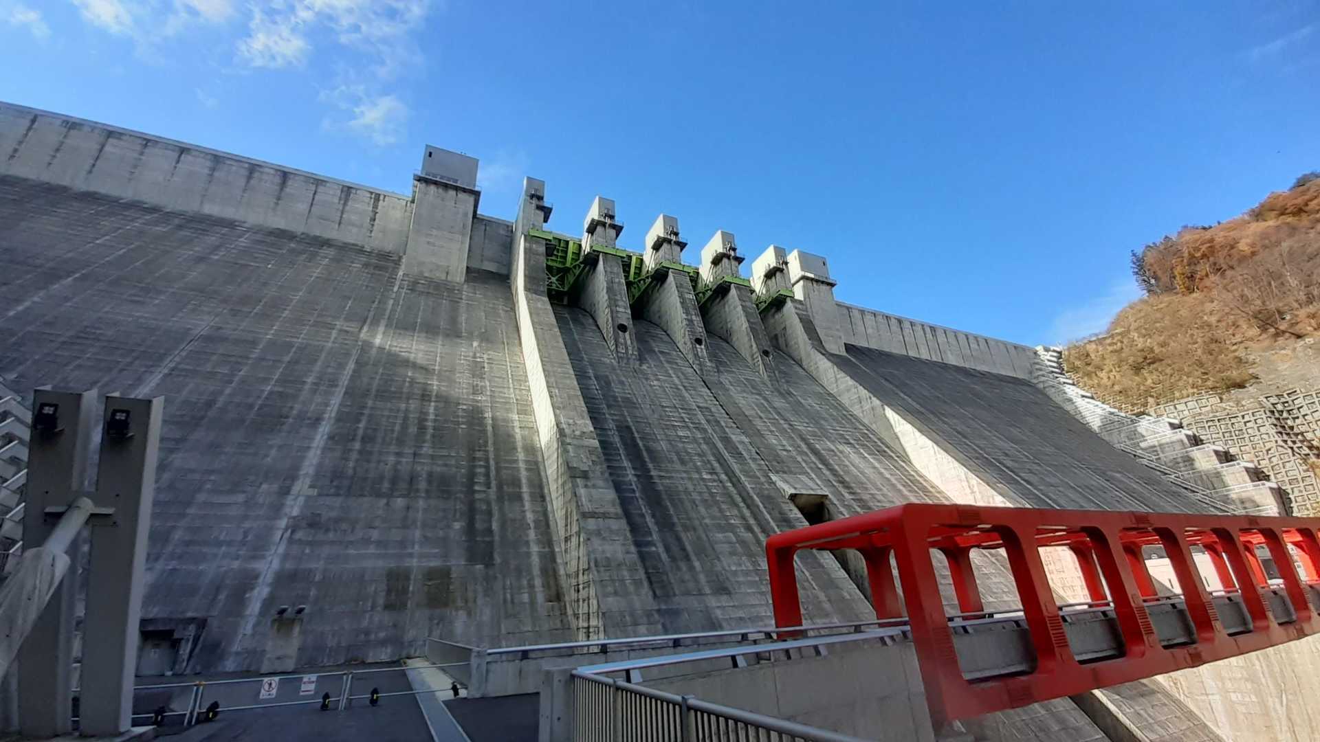 青空に映えるね。
