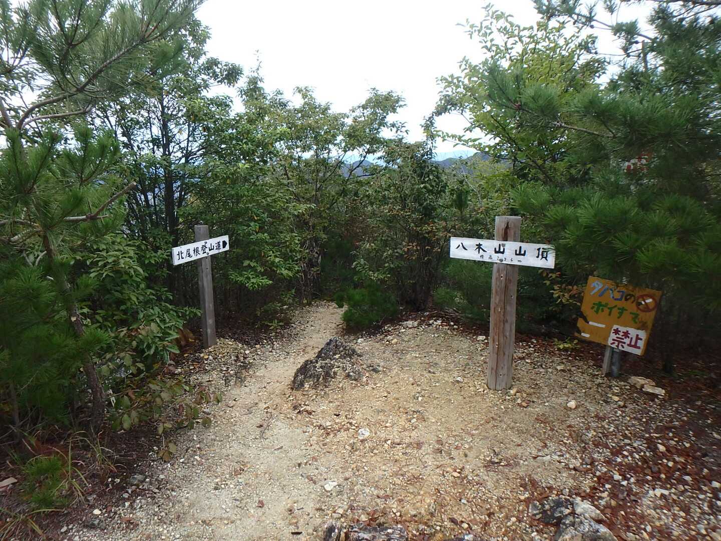 八木山の写真