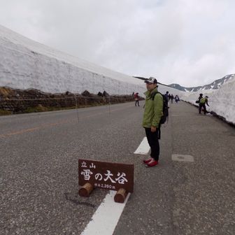 らす