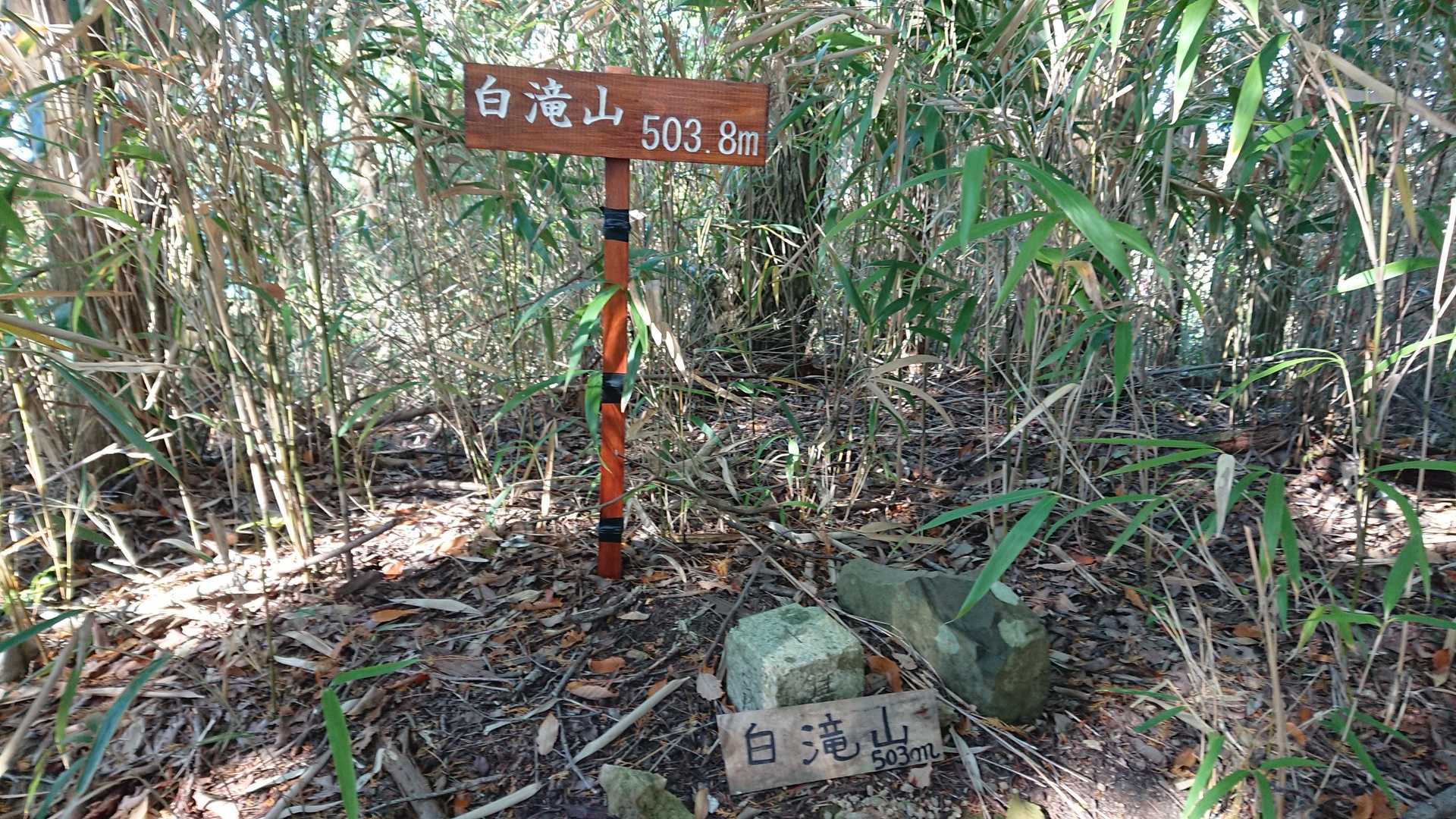 白滝山に到着！
細い竹に囲まれ、眺望はありません。