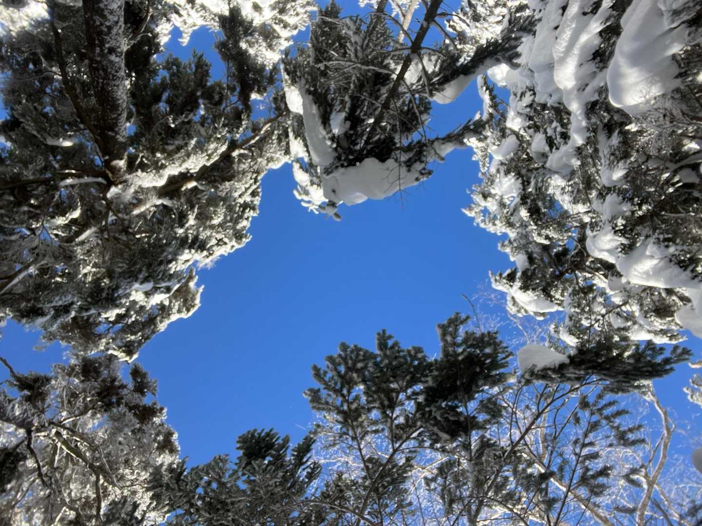 空は今日も青い