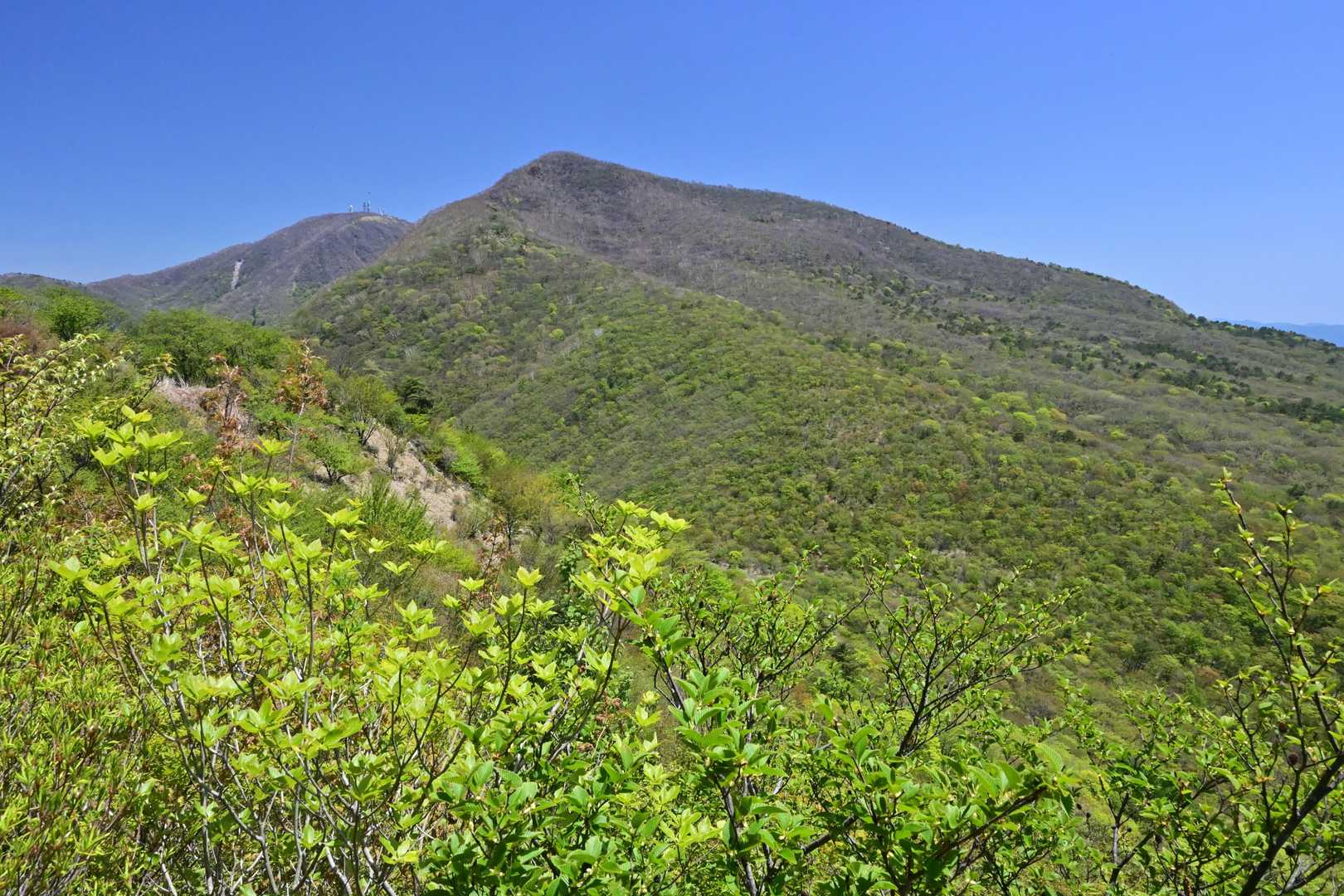 そこは荒山と地蔵岳の絶景！
この後も均整のとれた荒山が見えるたび、登っておいてよかったなあと思いました。