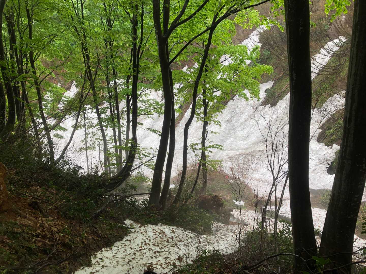 雪渓主体に下りて行く