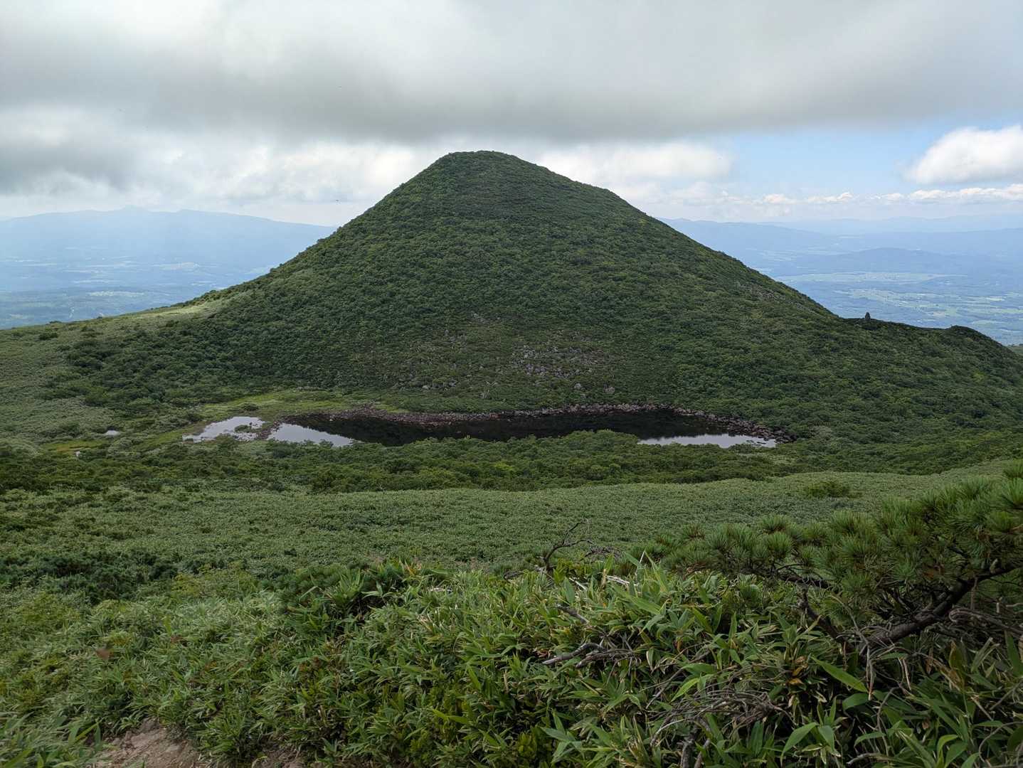 新見峠登山口-白樺山-シャクナゲ岳 往復コースの写真
